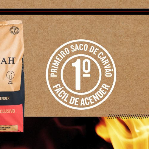 BBQ charcoal for sale